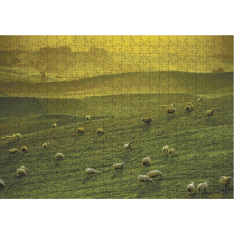 Dodo dėlionė Naujoji Zelandija (500 det.) - Image 2