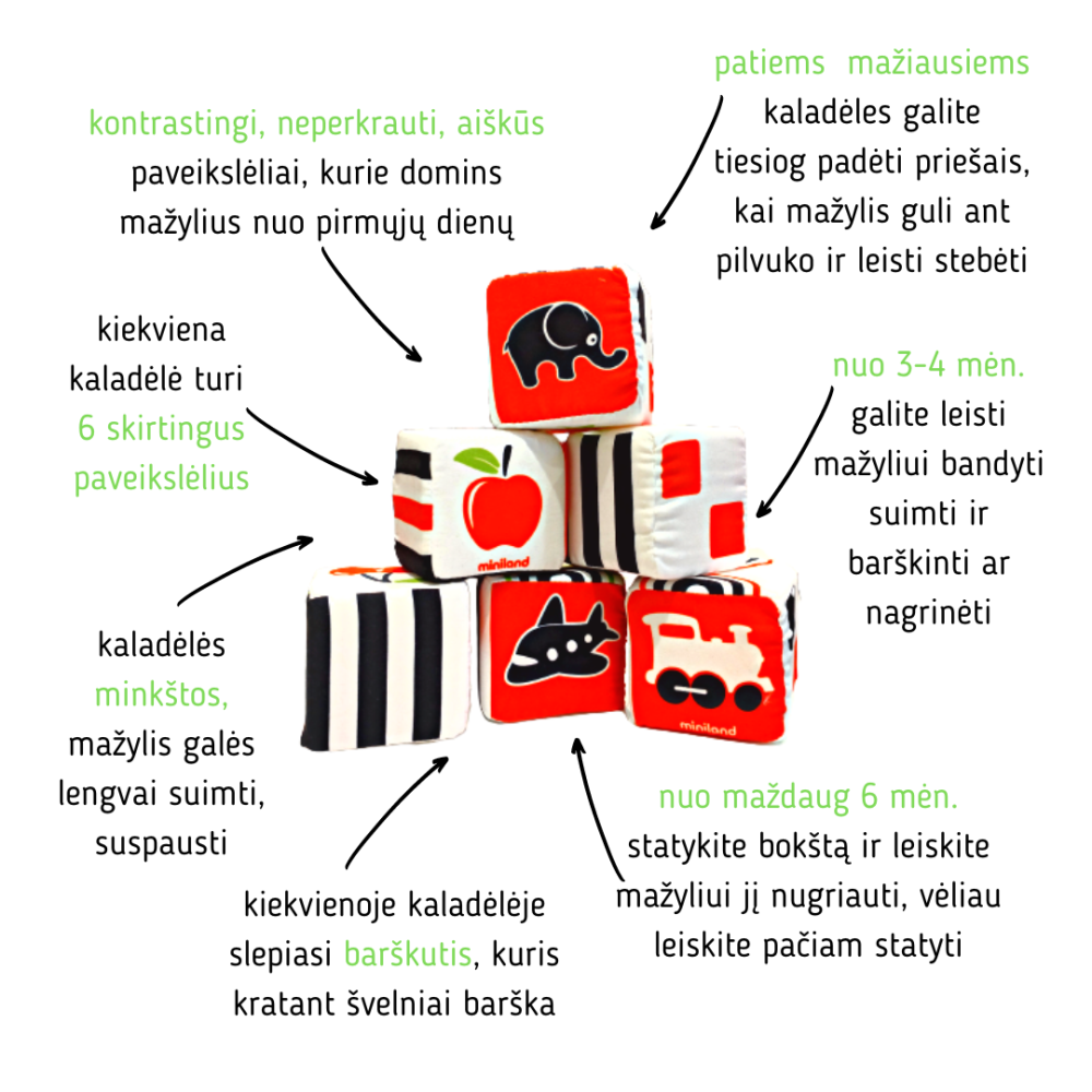 Miniland minkštos kaladėlės (6 vnt.) - Image 2